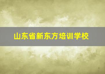 山东省新东方培训学校