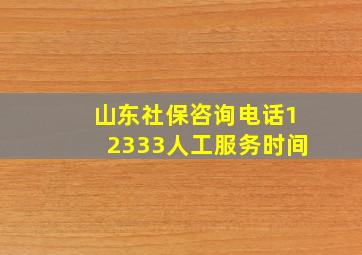 山东社保咨询电话12333人工服务时间