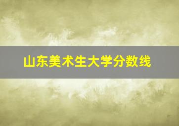 山东美术生大学分数线