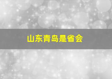 山东青岛是省会