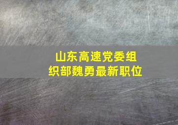 山东高速党委组织部魏勇最新职位