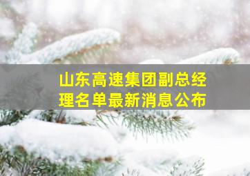 山东高速集团副总经理名单最新消息公布