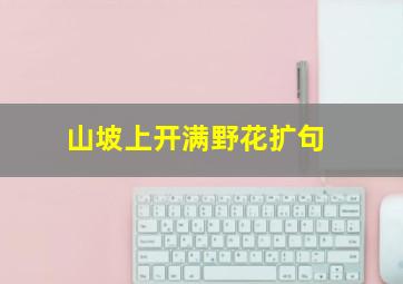 山坡上开满野花扩句