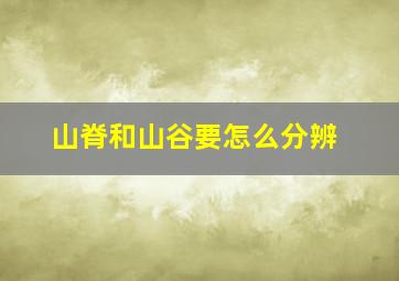 山脊和山谷要怎么分辨