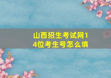 山西招生考试网14位考生号怎么填