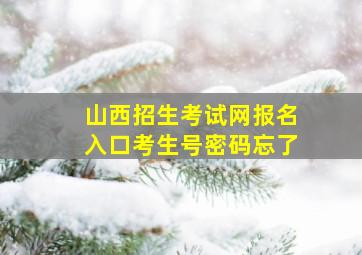 山西招生考试网报名入口考生号密码忘了