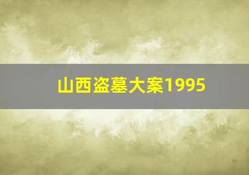 山西盗墓大案1995