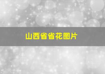 山西省省花图片