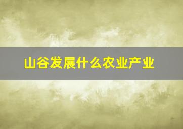 山谷发展什么农业产业