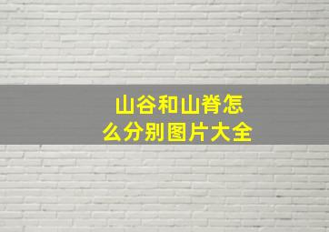 山谷和山脊怎么分别图片大全