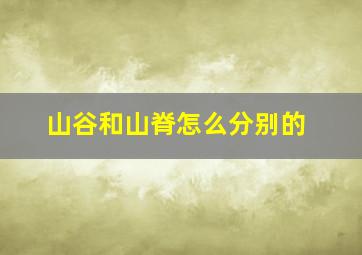 山谷和山脊怎么分别的