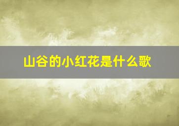 山谷的小红花是什么歌