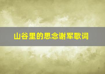 山谷里的思念谢军歌词