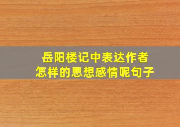 岳阳楼记中表达作者怎样的思想感情呢句子