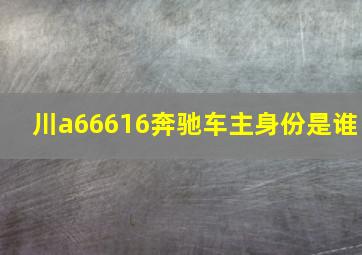 川a66616奔驰车主身份是谁