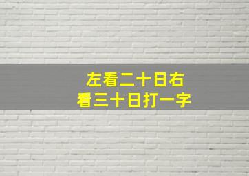 左看二十日右看三十日打一字