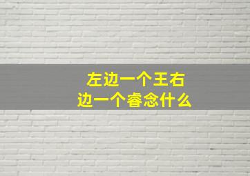 左边一个王右边一个睿念什么