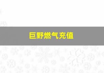 巨野燃气充值