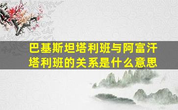 巴基斯坦塔利班与阿富汗塔利班的关系是什么意思