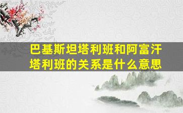 巴基斯坦塔利班和阿富汗塔利班的关系是什么意思