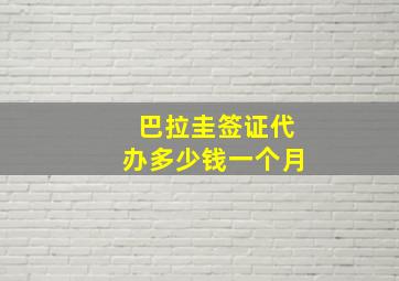 巴拉圭签证代办多少钱一个月