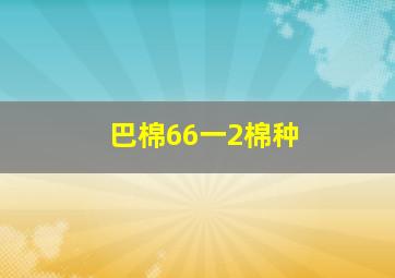 巴棉66一2棉种