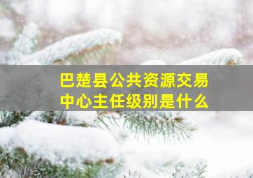 巴楚县公共资源交易中心主任级别是什么