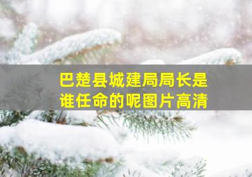 巴楚县城建局局长是谁任命的呢图片高清