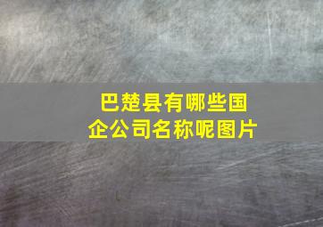 巴楚县有哪些国企公司名称呢图片