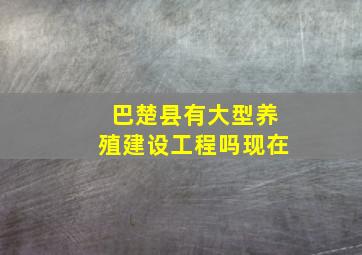 巴楚县有大型养殖建设工程吗现在