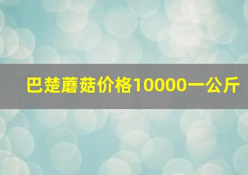 巴楚蘑菇价格10000一公斤