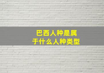 巴西人种是属于什么人种类型