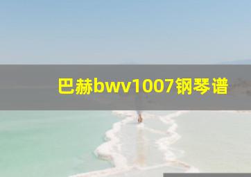 巴赫bwv1007钢琴谱