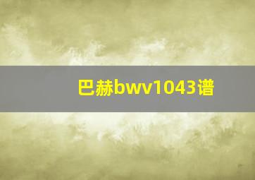 巴赫bwv1043谱