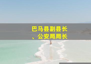 巴马县副县长、公安局局长