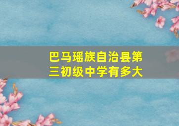 巴马瑶族自治县第三初级中学有多大