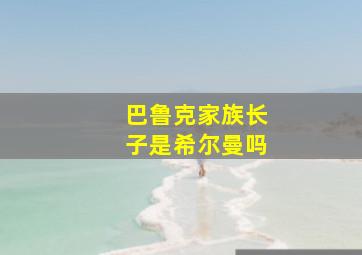 巴鲁克家族长子是希尔曼吗