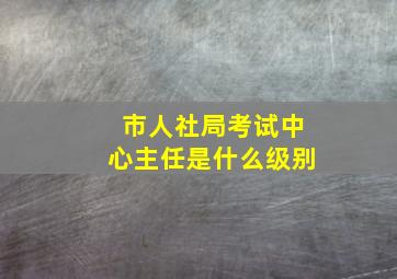 市人社局考试中心主任是什么级别