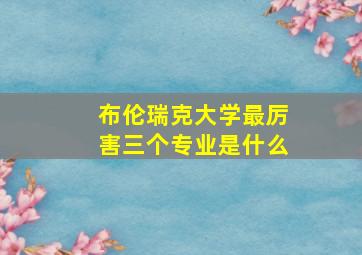 布伦瑞克大学最厉害三个专业是什么