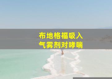 布地格福吸入气雾剂对哮喘