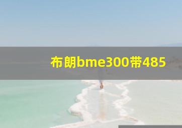 布朗bme300带485