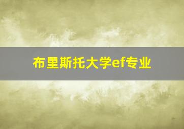 布里斯托大学ef专业