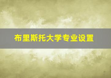 布里斯托大学专业设置