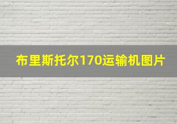 布里斯托尔170运输机图片