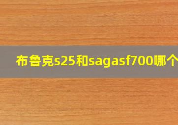 布鲁克s25和sagasf700哪个好