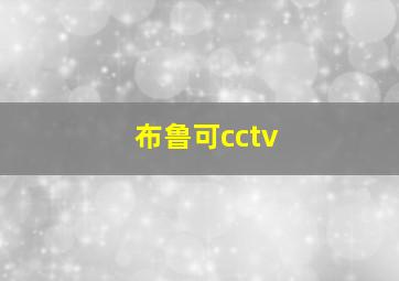 布鲁可cctv