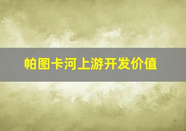 帕图卡河上游开发价值