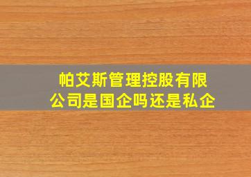 帕艾斯管理控股有限公司是国企吗还是私企