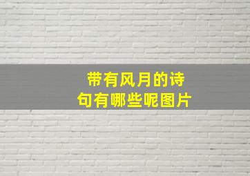 带有风月的诗句有哪些呢图片