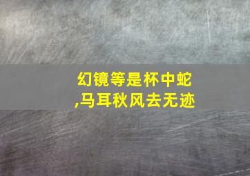 幻镜等是杯中蛇,马耳秋风去无迹